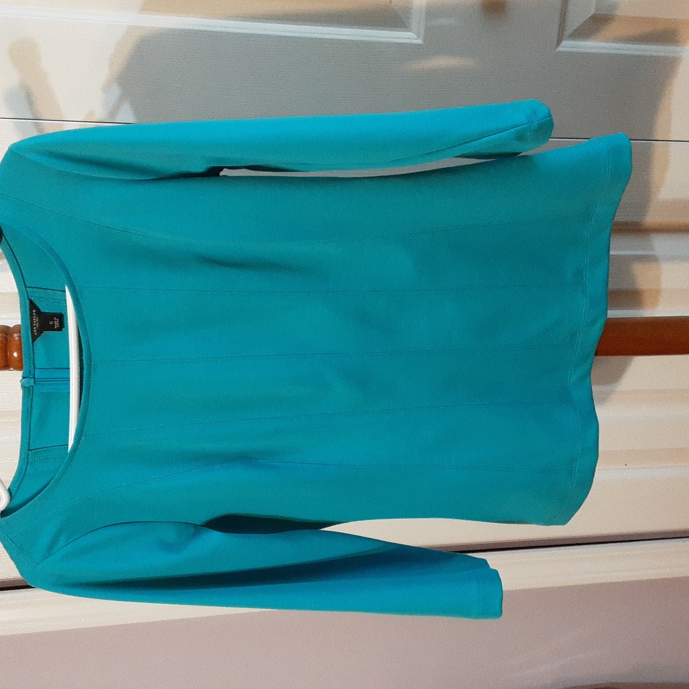 Ann taylor ladies tunic blouse size small.